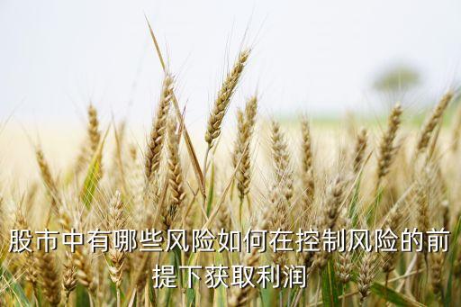 股票中高风险有什么问题，1股市中风险有哪些如何在控制风险的前期下获得利润