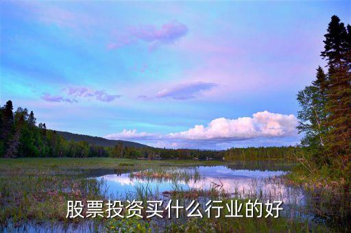 股票投资买什么行业的好
