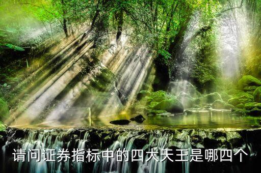请问证券指标中的四大天王是哪四个