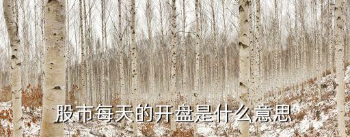 股市每天的开盘是什么意思