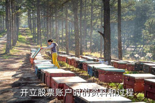 08年股票开户时需要什么，炒股票开户需要啥手续