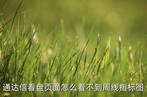 通达信看盘页面怎么看不到周线指标图