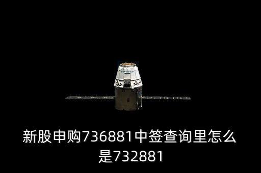 新股申购736881中签查询里怎么是732881