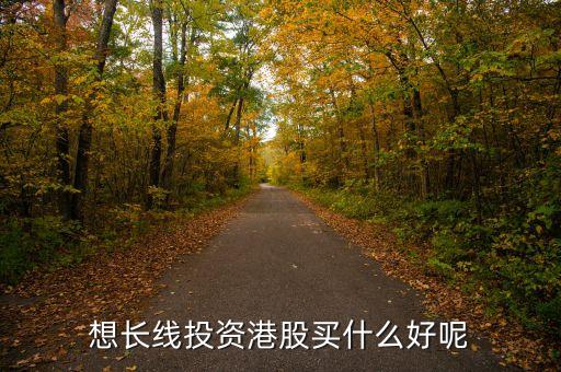 想长线投资港股买什么好呢