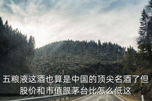 五粮液这酒也算是中国的顶尖名酒了但股价和市值跟茅台比怎么低这