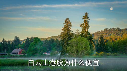 白云山港股为什么便宜
