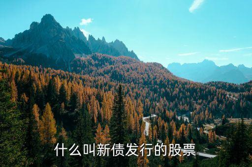 什么叫新债发行的股票
