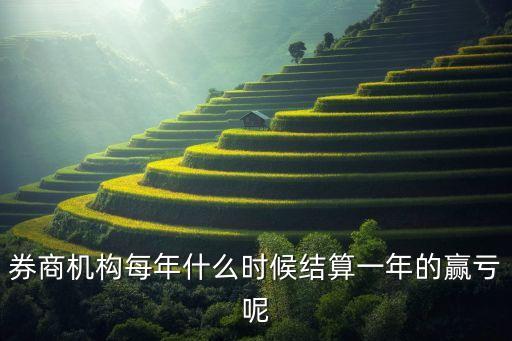 券商机构每年什么时候结算一年的赢亏呢