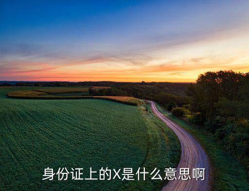 身份证上的X是什么意思啊