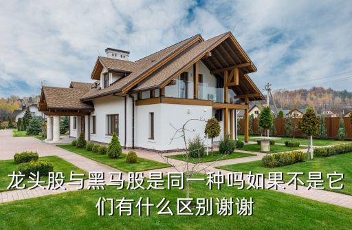 龙头股与黑马股是同一种吗如果不是它们有什么区别谢谢