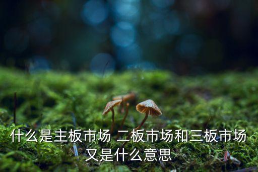 股票打2板是什么意思啊，股民说2个板是什么意思
