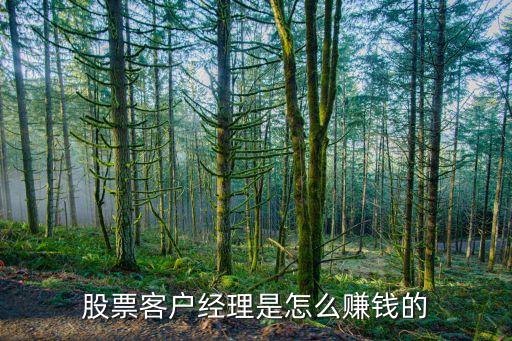 股票客户经理是怎么赚钱的