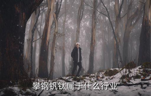 攀钢钒钛属于什么行业