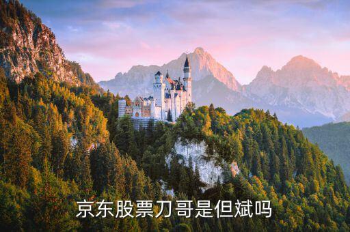 京东股票刀哥是但斌吗