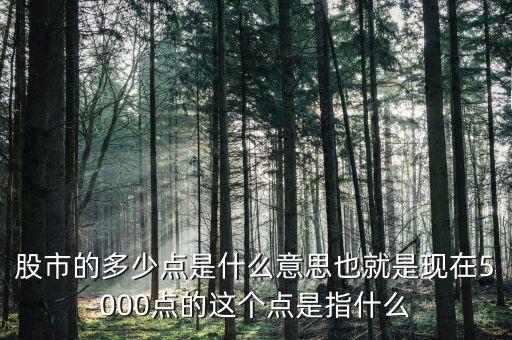 股票五百个点什么意思啊，股票中的多少点是怎么回事