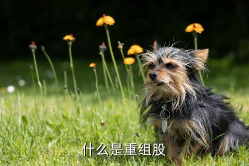 什么是重组股