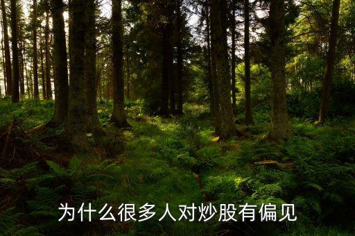 为什么很多人对炒股有偏见