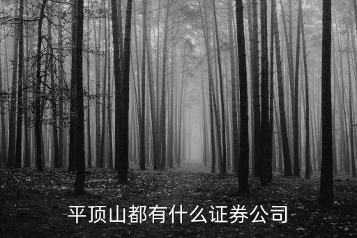 平顶山都有什么证券公司