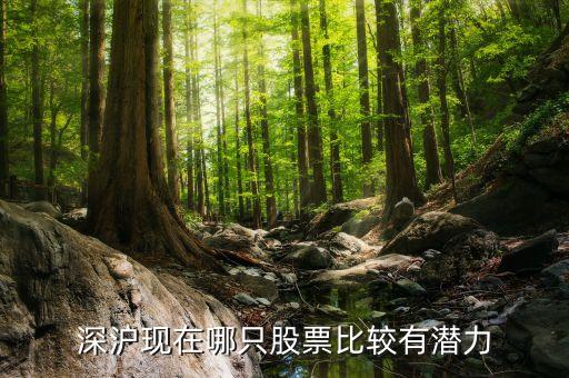 深沪现在哪只股票比较有潜力