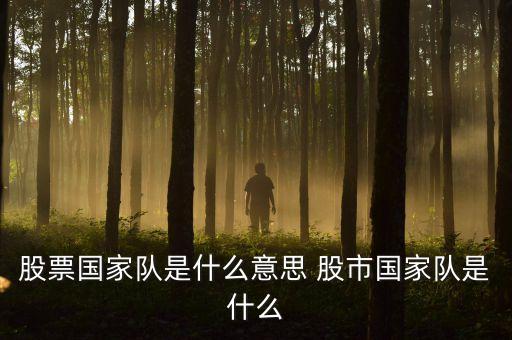 股票国家队是什么意思 股市国家队是什么