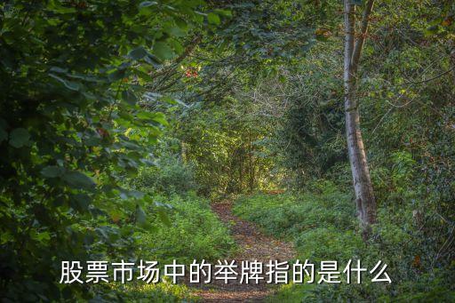 股票市场中的举牌指的是什么