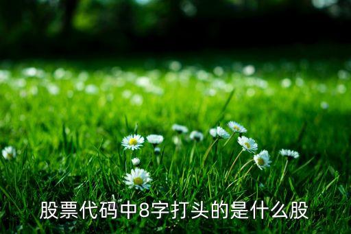 8打头的是什么板块股票，股票代码中8字打头的是什么股