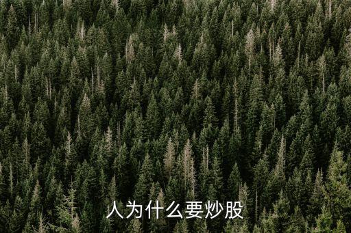 人为什么要炒股