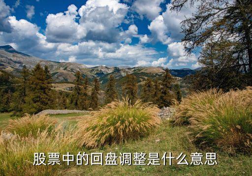 股票中的回盘调整是什么意思
