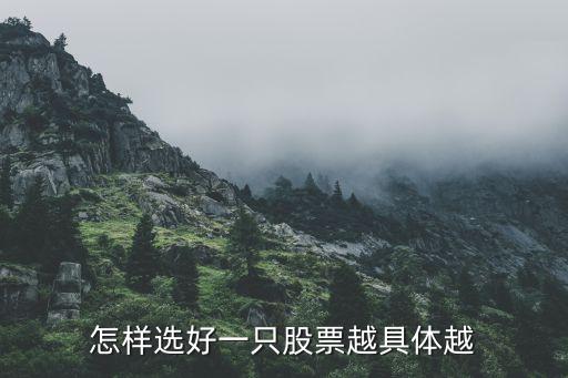 挑选股票的四个原则是什么，如何选购一支好的股票