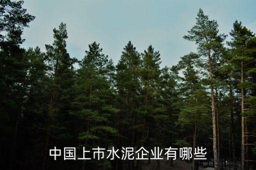 中国建材为什么会上市股票，浙江富春江通信集团为什么不上市