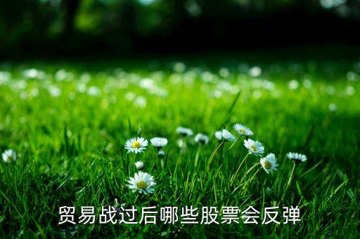 贸易战过后哪些股票会反弹