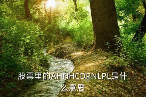 股票里的AHNHCDPNLPL是什么意思