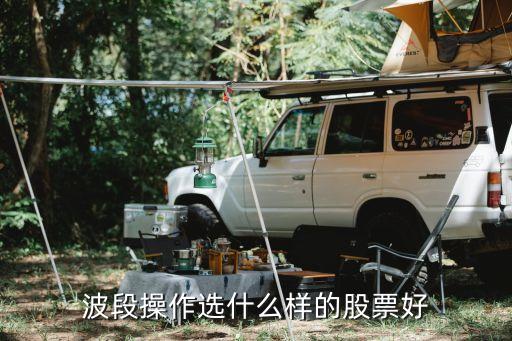 波段操作选什么样的股票好
