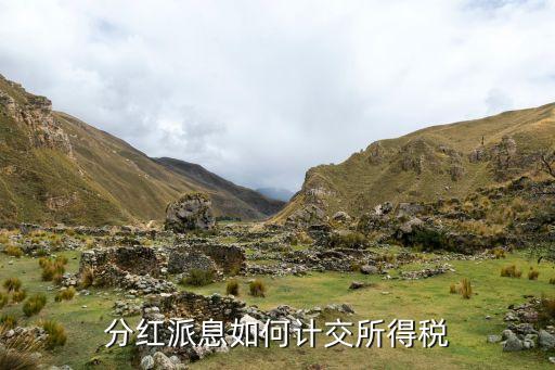 分红派息如何计交所得税