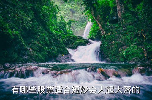 有哪些股票适合短炒会大起大落的