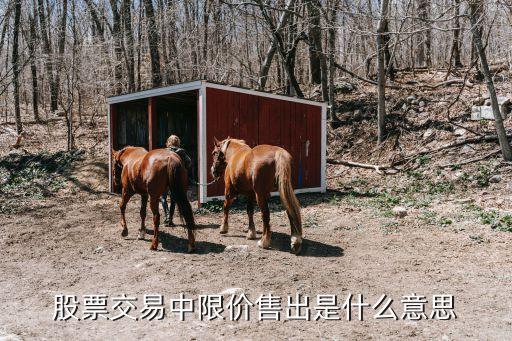 股票交易中限价售出是什么意思
