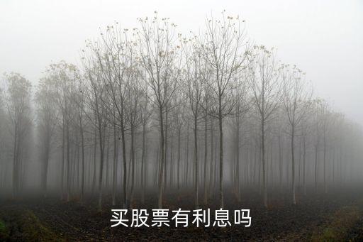 买股票有利息吗