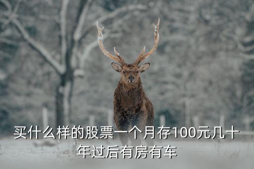 每个月一般买什么股票，不同季度买什么股票