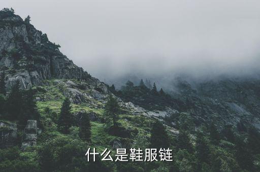 什么是鞋服链
