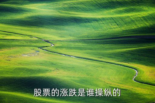 股票的涨跌是谁操纵的