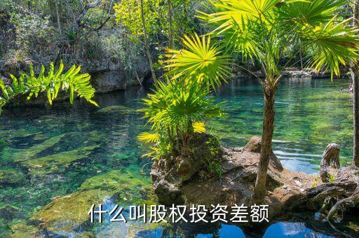 什么叫股权投资差额