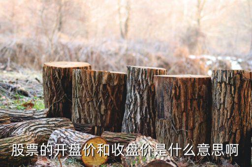 股票的开盘价和收盘价是什么意思啊