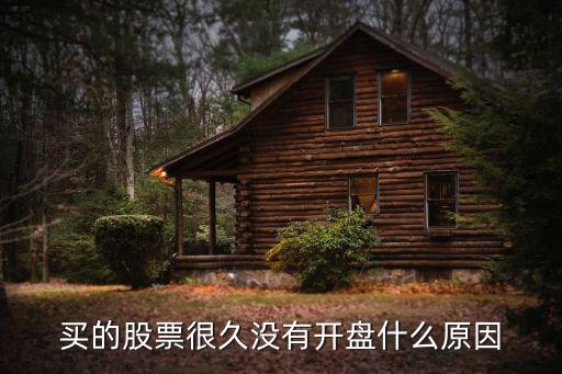 买的股票很久没有开盘什么原因