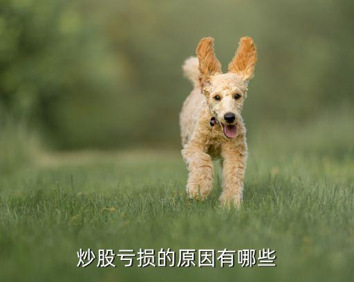 炒股亏损的原因有哪些