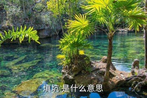 股票中填坑是什么意思啊，填坑 是什么意思