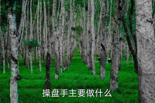 操盘手主要做什么