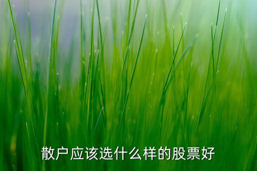 散户应该选什么样的股票好