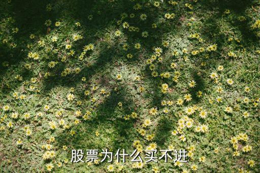 股票为什么买不进