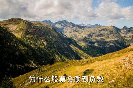 为什么股票会跌到负数