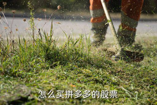 怎么买拼多多的股票